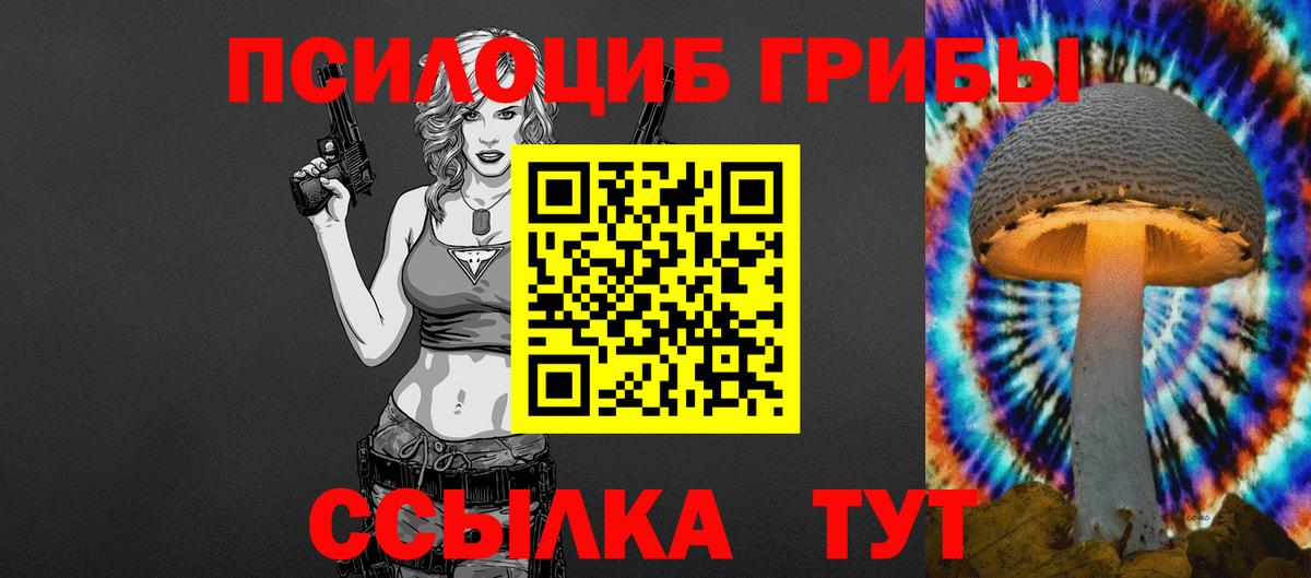 магазин    Псилоцибиновые грибы GOLDEN TEACHER  Вход с VPN  Сочи  Псилоцибиновые грибы Cubensis 